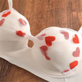 Teddy lingrie set